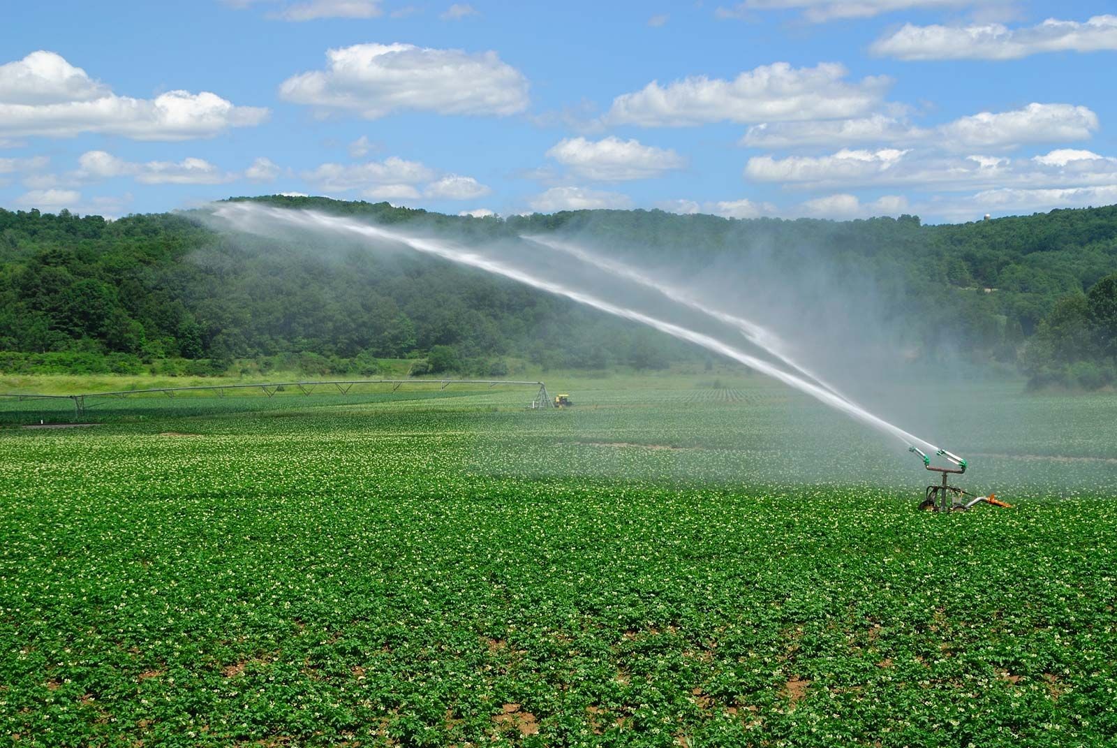 Irrigation Icon